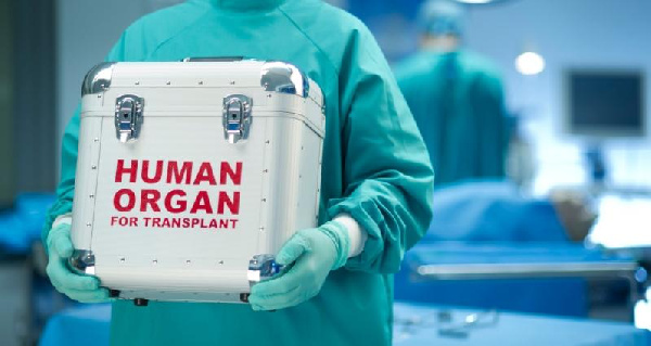 Korle Bu CEO Urges Swift Action on Organ Harvesting Law